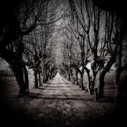 Tamsusis Sindromas - Gruzas (2025) [Single]