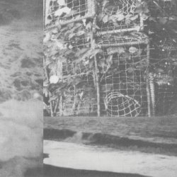 Cremation Lily - The Processes And Instruments Of Normal People (2020) [Remastered]