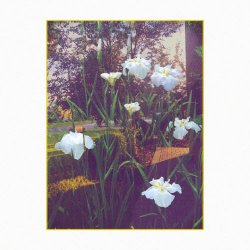 Durl - Printemps (2018) [Single]