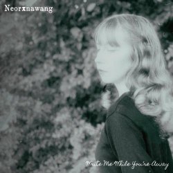Neorxnawang - Write Me While You're Away (2025)
