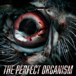 Pneumatic Detach - The Perfect Organism (2025) [Single]