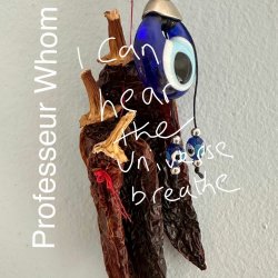 Professeur Whom - I Can Hear The Universe Breathe (2025)