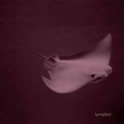 Ljungblut - Capitals (2007)