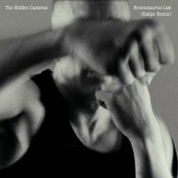 The Hidden Cameras - Brontosaurus Law (Kalipo Remix) (2025) [EP]