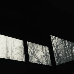 Antipole & Paris Alexander - Late September (2025) [Single]