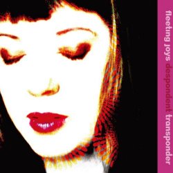 Fleeting Joys - Despondent Transponder (2010) [Reissue]