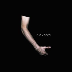 True Zebra - Debut (2010)