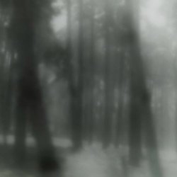 Sad Madona - Soldier (2025) [Single]