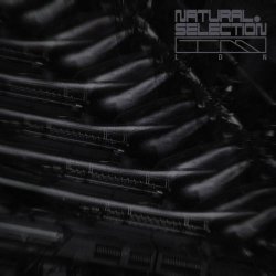 Swarm Intelligence - Radiance (2025) [EP]