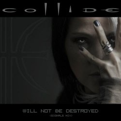 Collide - Will Not Be Destroyed (Signals Mix) (2025) [Single]