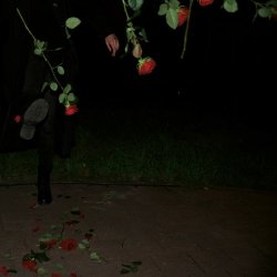 Nastia Reigel - Disarm To Surrender (2020) [EP]