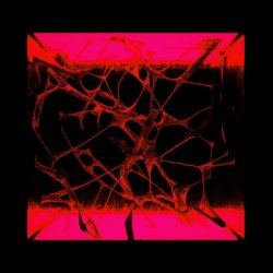 SCALER - Void (Remixes) (2022) [Single]