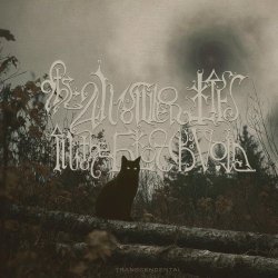 The Answer Lies In The Black Void - Transcendental (2025)