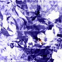 Solid-State Sunlight - Halogen Dusk (2025) [Single]
