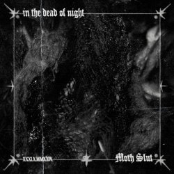 Moth Slut - In The Dead Of Night (2024) [Single]