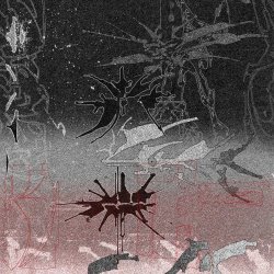 Petrified Entity - The World (2025) [Single]