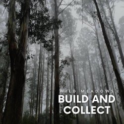 Wild Meadows - Build And Collect (2025) [EP]