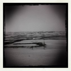 Lambwool - Islandi (2018)
