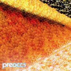 Preoccupations - Mur/Ponr (2025) [Single]