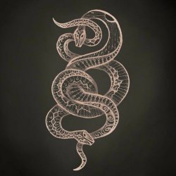 Annicke Shireen - The Serpent (2021) [EP]