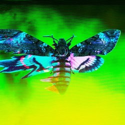 Sun's Spectrum - Dissection (Harbiter Remix) (2025) [Single]