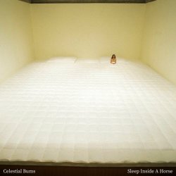Celestial Bums - Sleep Inside A Horse (2020)