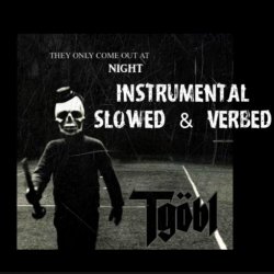 The Ghost Of Bela Lugosi - They Only Come Out At Night (Instrumental Slowed Verbed) (2025) [Single]