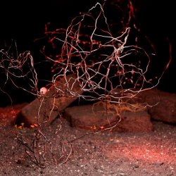 Herbalistek - References Of Synthesis (2024) [EP]