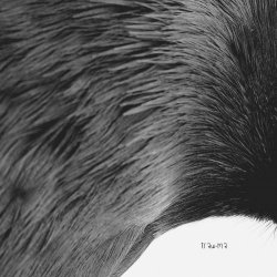 AVCI - Fackel (2021) [EP]