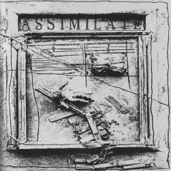 Molecül - Assimilate (2025) [Single]