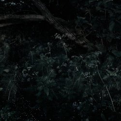 Teho Teardo - Laura Palmer's Theme (2025) [Single]