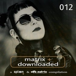 VA - Matrix+ Downloaded 012 (2025)