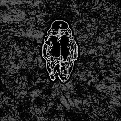STCLVR - Aggressor Appendage: Lost Tracks 2020-2025 (2025)