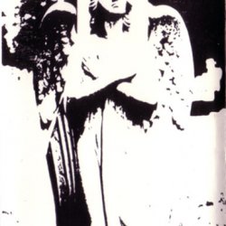 VA - Nosferatunes II (1992)