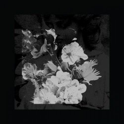 Sanctums - Migrant Workers (2016)
