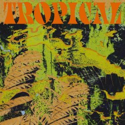 CV Vision - Tropical (2021)