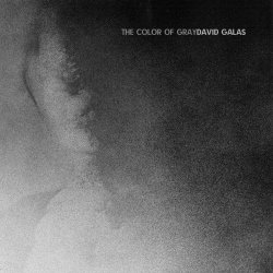 David Galas - The Color Of Gray (2025) [Single]