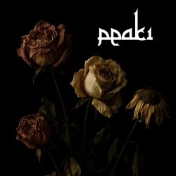 PEAKi - I Cannot Grieve Anymore (2025) [Single]