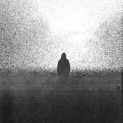 Petrified Entity - Mistake (2025)