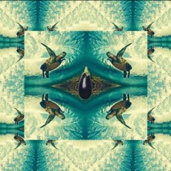 Cubzoa - Aubergine (2014) [EP]