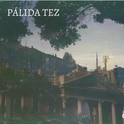 Pálida Tez - Las Cenizas De Un Verano / Joven Cuervo (2022) [Single]
