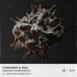 CVNSUMED & Znzl - Abrasive Components (2024) [EP]