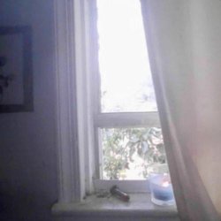Sad Madona - August Underground (2025) [Single]