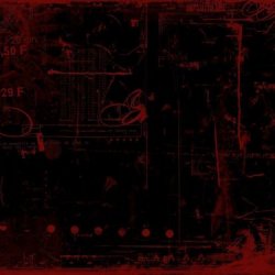 Bouncing Spiders - Interlink (2025)