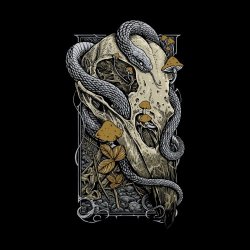 Dead On A Sunday - Into The Ether (2025) [Single]