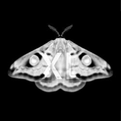 The Noise Floor - Emetic XL (2024) [EP]