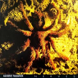Kastrierte Philosophen - Nerves (2023) [Remastered]