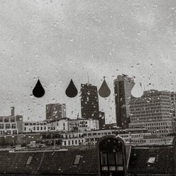 Balduvian Bears - Tears (2025) [Single]
