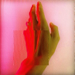 Radical Bicep - Crimson Flowers/By The Tail (2025) [Single]