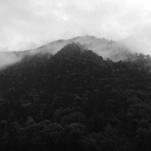 iamyank - Environmental Music For Reading (2022)